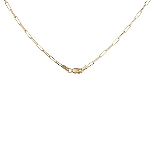 Mali's 14k Yellow Paperclip Chain Necklace