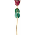Lacquered Colored Rose with Gold Trim