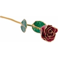 Lacquered Colored Rose with Gold Trim