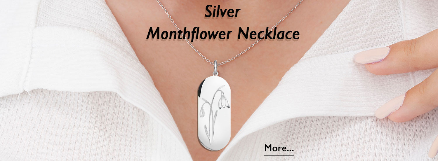 Silver monthflower 